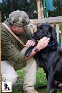 K9s For Warriors: Helping Veterans Heal
