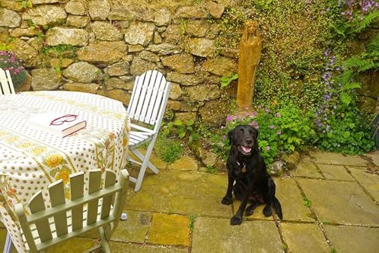 Tilly in the courtyard