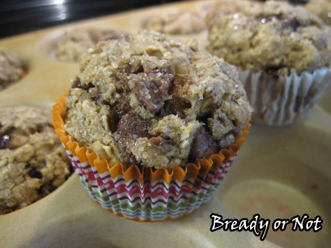 Oatmeal Choc Chip Muffins
