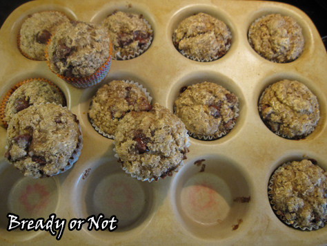 Oatmeal Choc Chip Muffins