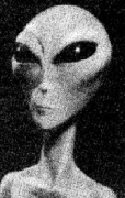 little-grey-alien