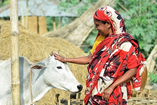 womanwithcow