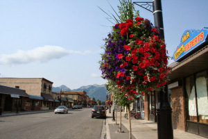 Kate Curan - Main Street