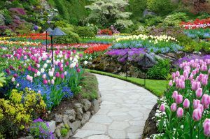 Contemplation is like a path through a beautiful garden.