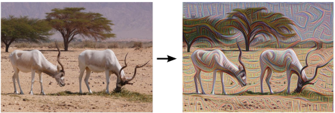 Left: Original photo by Zachi Evenor. Right: processed by Günther Noack, Software Engineer