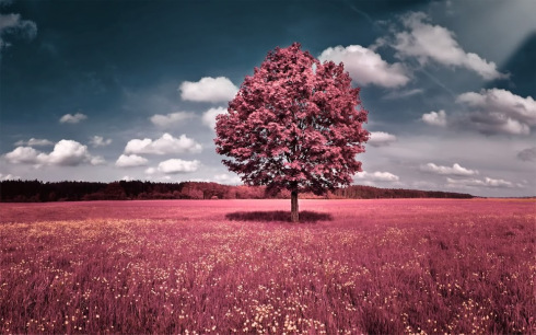 Google_ANN_Red-tree-orig