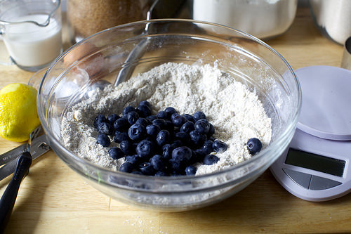 many, many blueberries