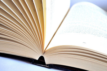 Book open on it's spine with rifled pages