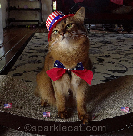 Can you see my eyes asking to get this hat off my head?