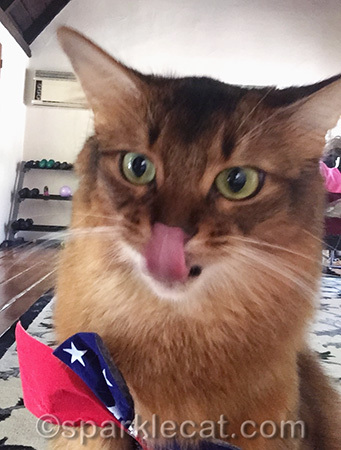 Doesn't YOUR nose ever itch?