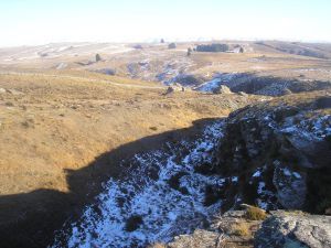 10822738_10204437442793804_1375775791_n