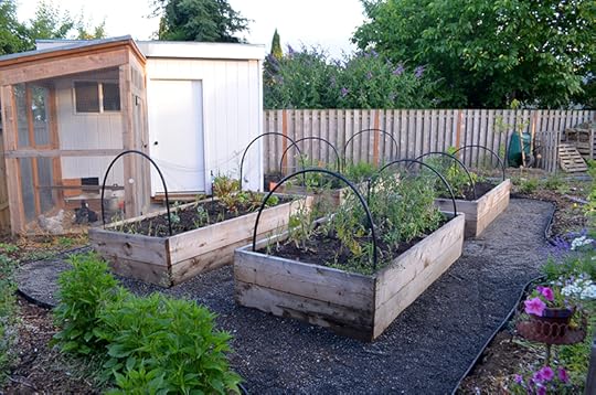 pathways-raised-beds
