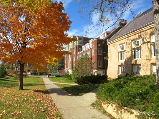 University Parent Guide to Supporting Your College Freshman