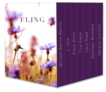 fling_box_set_mockup_v4
