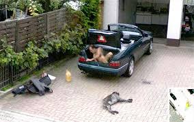 Image result for weirdest sights