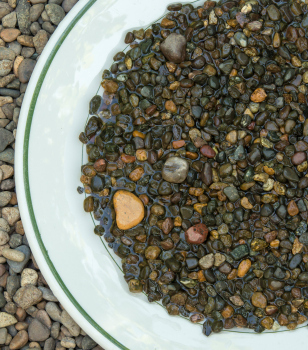 Moist gravel for bugs