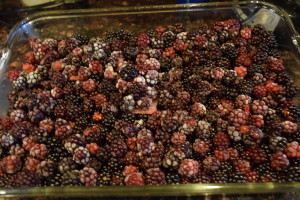 blackberry cobbler renal diet