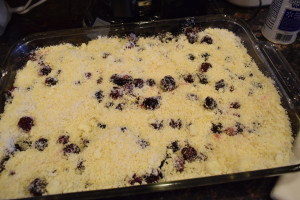 berry fruit cobbler