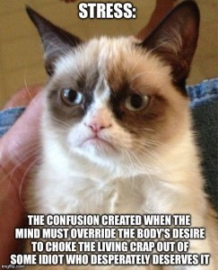A - Humor Nasty Cat Stress