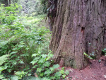 20150706_122617
