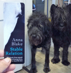 Bmark with dogs (621x640)