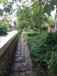 back garden at Mill