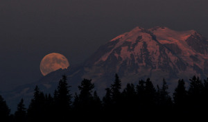 Moon Ranier