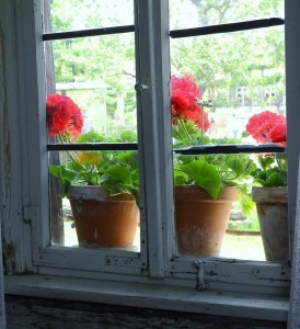 RedGeraniumWindowBox