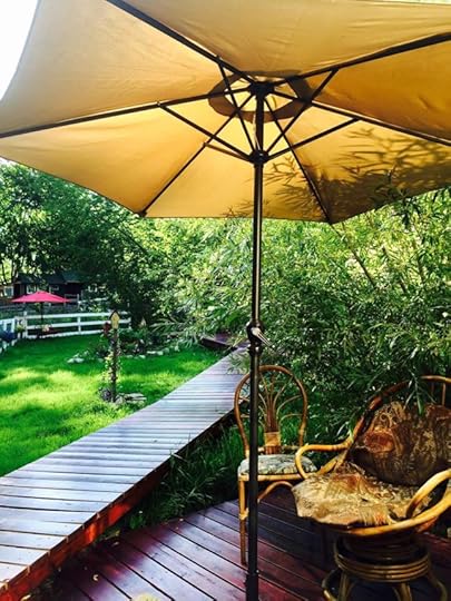 11119896_10153502215024553_8657439245988577418_o