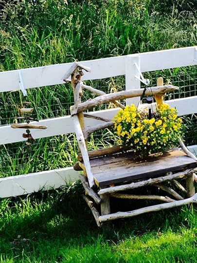 11403085_10153502215049553_4259423755665367776_n