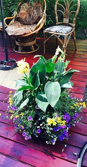 11666053_10153502215029553_3306419254560143190_n