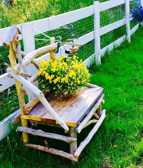 11666196_10153502476439553_937339566342480165_n