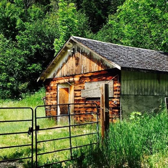 1533756_10153443598944553_4360763139887199907_n