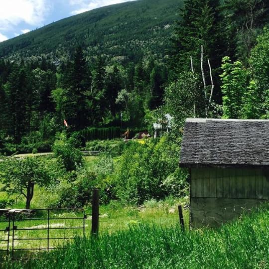 10402609_10153443598929553_6786136428529821632_n