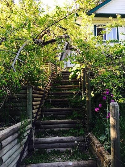 10458771_10153339355979553_7294451963393856010_n