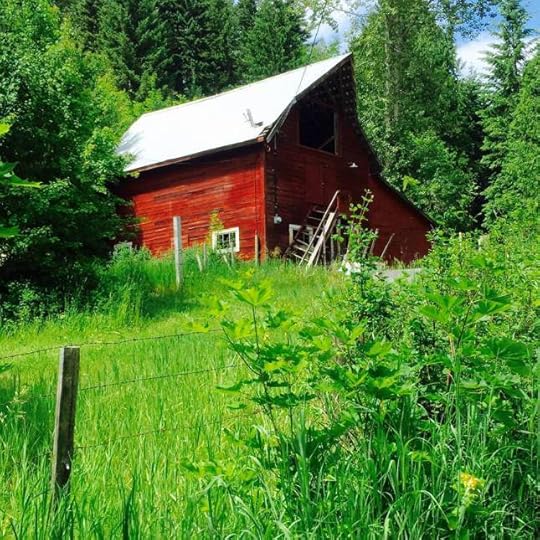 11062062_10153443598934553_1284688473285574966_n