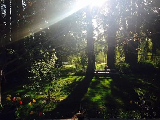 11136780_10153321266799553_8841112806183133755_n