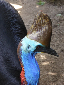 P1040036
