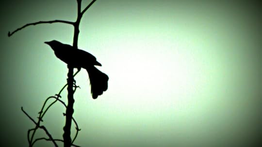 lake bottom night fire 037