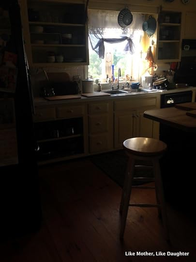 {bits & pieces} kitchen window