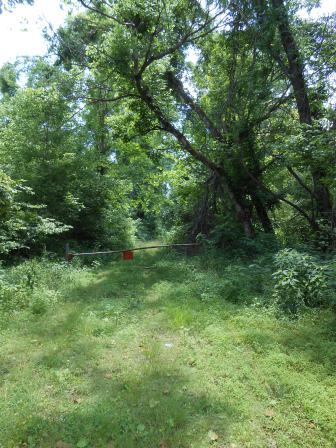 Densley wooded area with an old barrier blocking an overgrown path