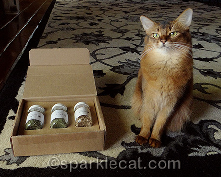 I do have a discerning palate