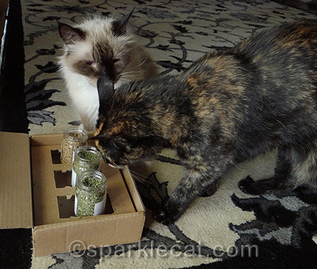 You probably already knew she was a nip hog