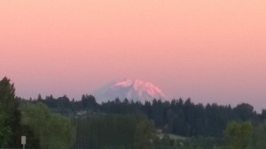 pinkrainier62015