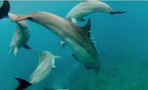 Screen Shot 2015-07-12 at 08.34.50