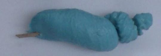 This Is What a Dolphin's Vagina Looks Like