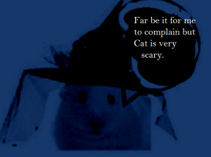 zwwwwwq2881tytytytytytyty