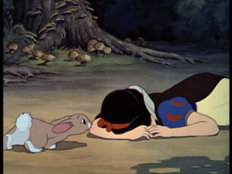  photo sobwhite_zpsjo7oahue.jpg