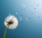 artworks 000075167590 gvenis original