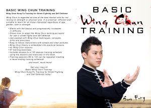 Basic Wing Chun Training: Wing Chun Kung Fu Training for Street Fighting and Self Defense